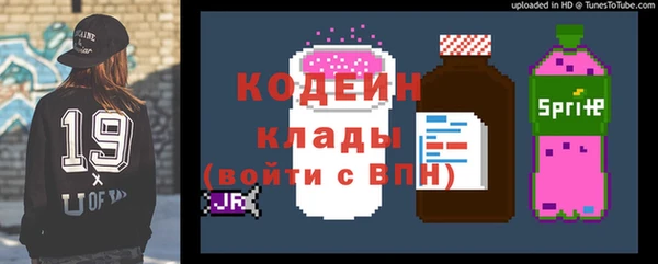 стаф Вяземский