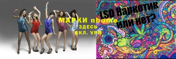 стаф Вяземский